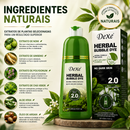 Shampoo Tonalizante Herbal Bubble Dye DeXe™ 420ml